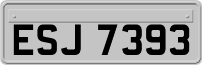 ESJ7393