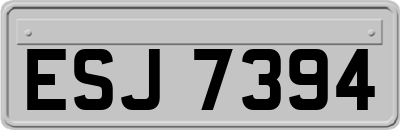 ESJ7394