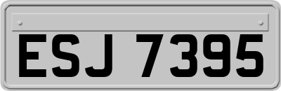 ESJ7395
