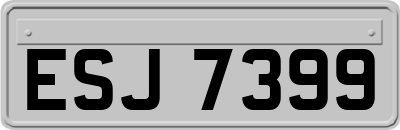 ESJ7399