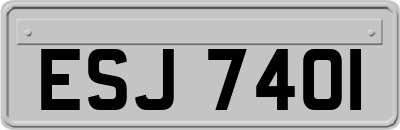 ESJ7401