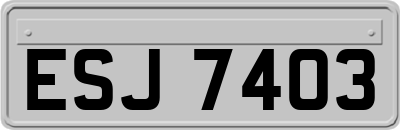 ESJ7403