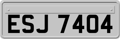 ESJ7404