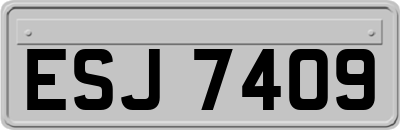 ESJ7409