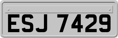 ESJ7429
