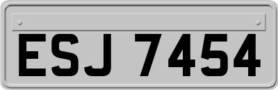 ESJ7454
