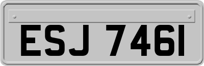 ESJ7461