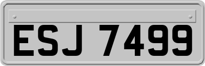 ESJ7499