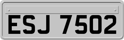 ESJ7502