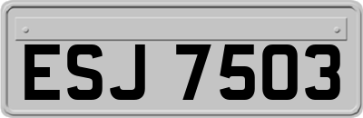 ESJ7503