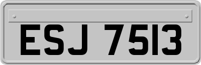 ESJ7513