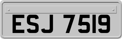 ESJ7519