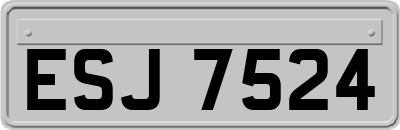 ESJ7524