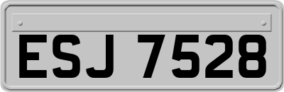 ESJ7528