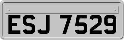 ESJ7529