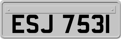 ESJ7531