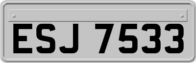 ESJ7533