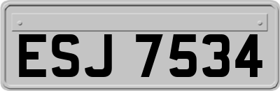 ESJ7534