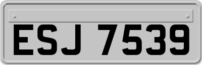 ESJ7539