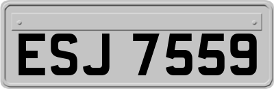 ESJ7559