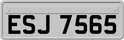 ESJ7565