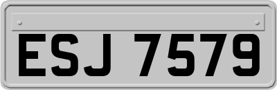ESJ7579