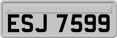 ESJ7599