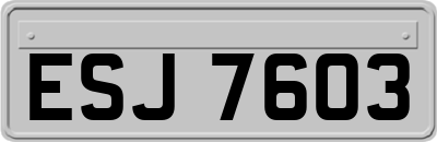 ESJ7603
