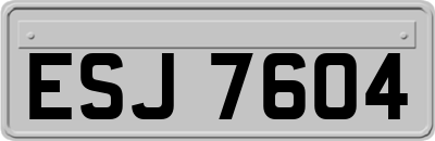 ESJ7604