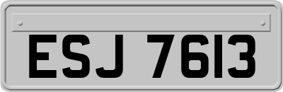 ESJ7613