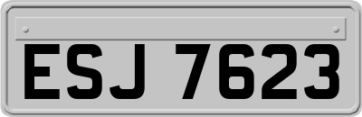 ESJ7623