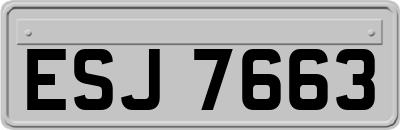 ESJ7663