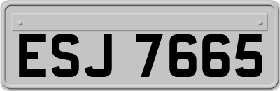 ESJ7665