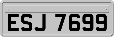 ESJ7699