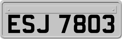 ESJ7803