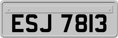 ESJ7813