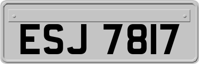 ESJ7817