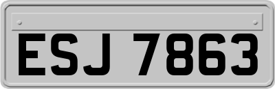 ESJ7863
