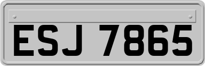 ESJ7865
