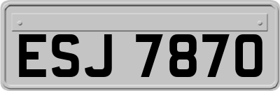 ESJ7870