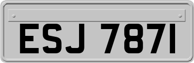 ESJ7871