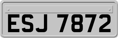 ESJ7872