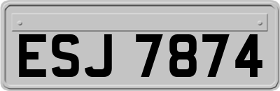ESJ7874