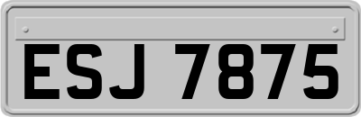 ESJ7875