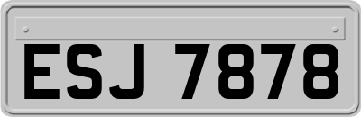 ESJ7878