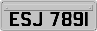 ESJ7891