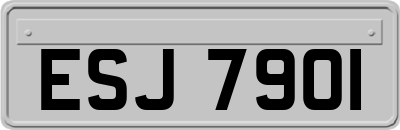ESJ7901