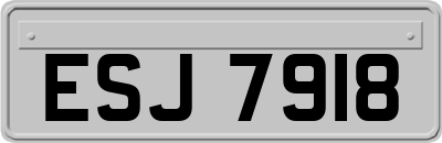 ESJ7918