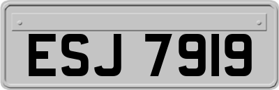 ESJ7919