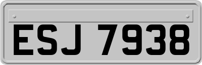 ESJ7938